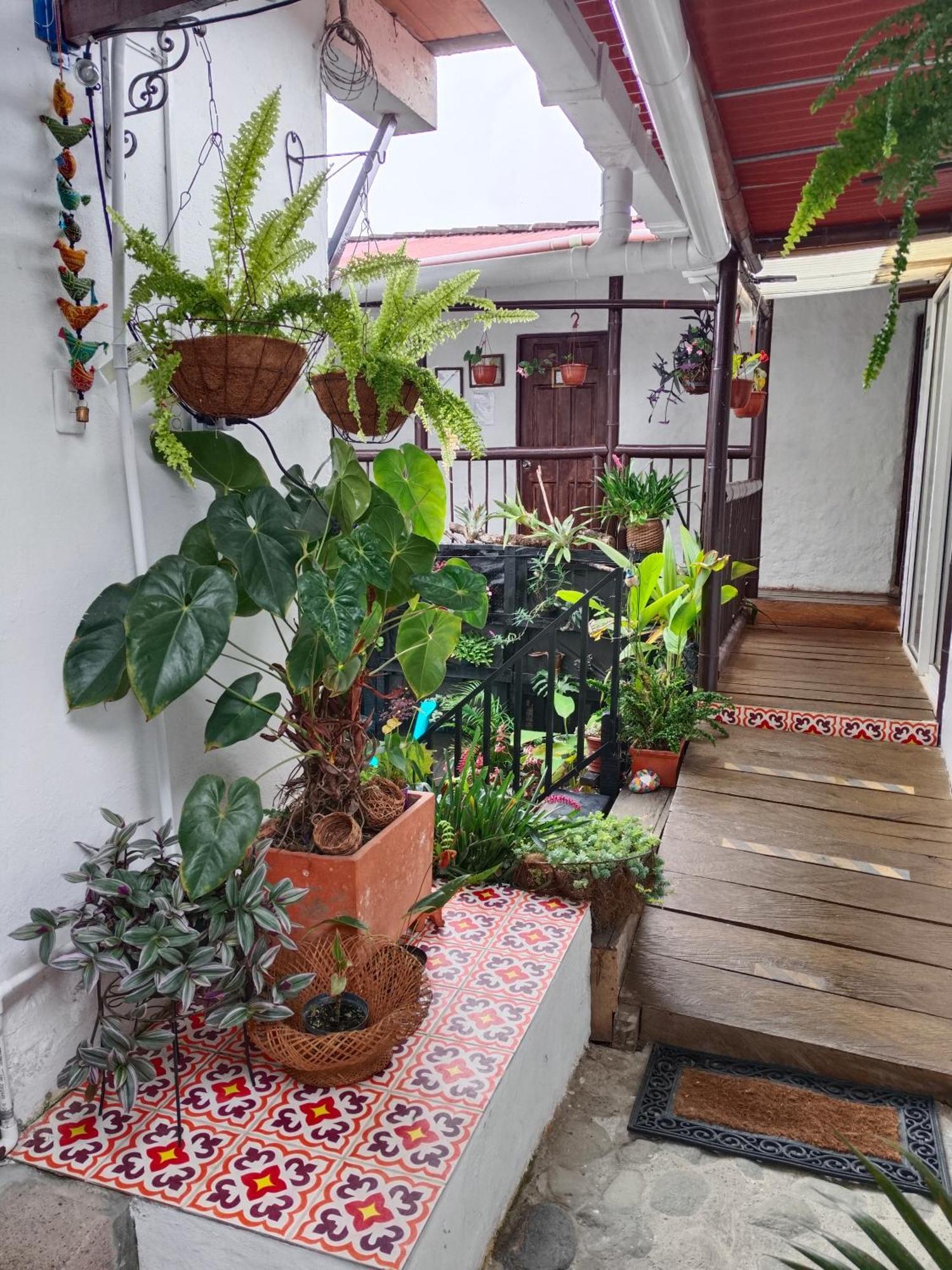 Apartaestudios La Baranda Salento Luaran gambar