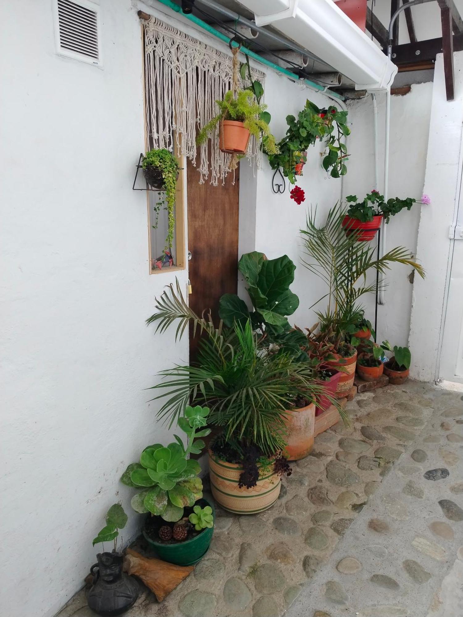 Apartaestudios La Baranda Salento Luaran gambar